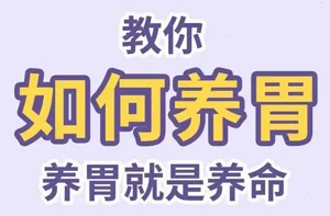 如何科学养胃？中医推荐几种方法养胃