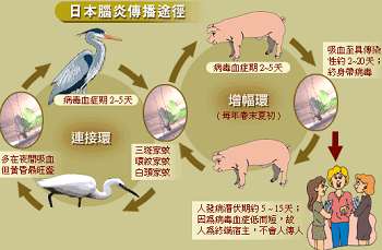 德里报告首例日本脑炎病例