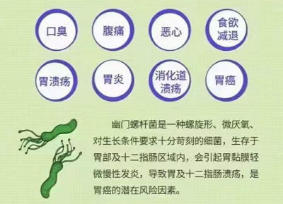 幽门螺旋杆菌感染会影响消化功能吗？