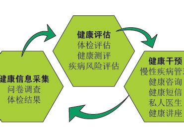 健康管理手册¦健康风险评估与个性化健康管理方案