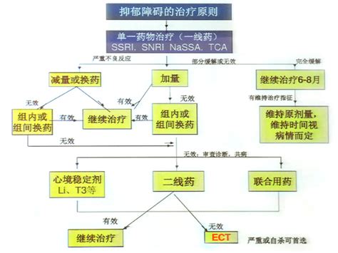 抑郁症的诊断与治疗