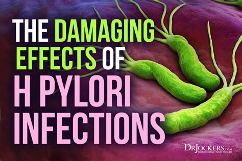 The Damaging Effects of H Pylori Infections