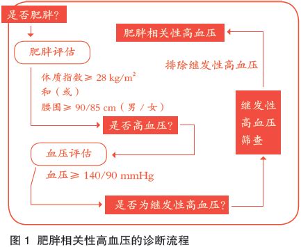 高血压与肥胖，真是一对“难兄难弟